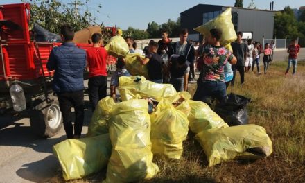 65 de voluntari de la Liceul „Axiopolis” Cernavodă au oferit un exemplu de spirit civic