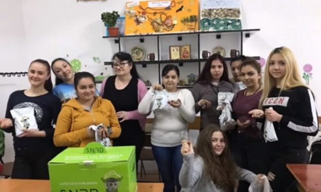Elevii Liceului „Nicolae Titulescu” din Medgidia îndeamnă la respect, pentru o planetă curată